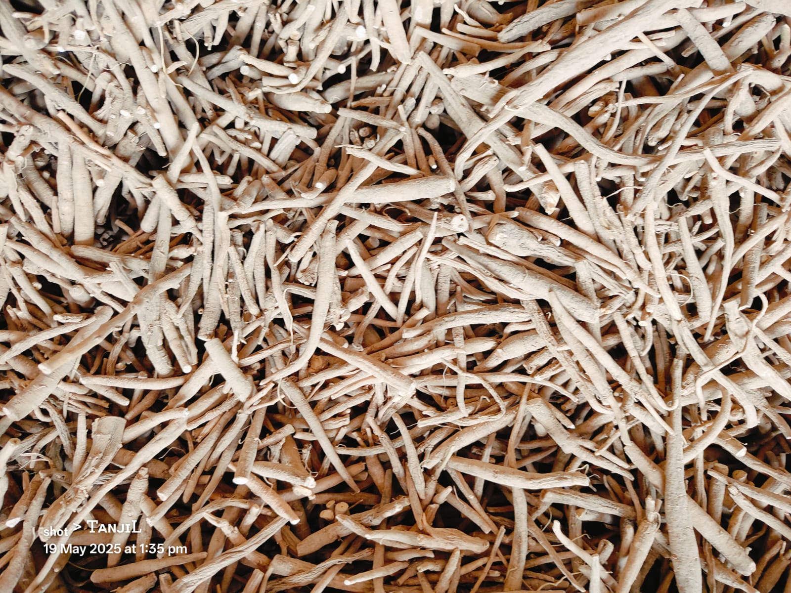 Dried Ashwagandha