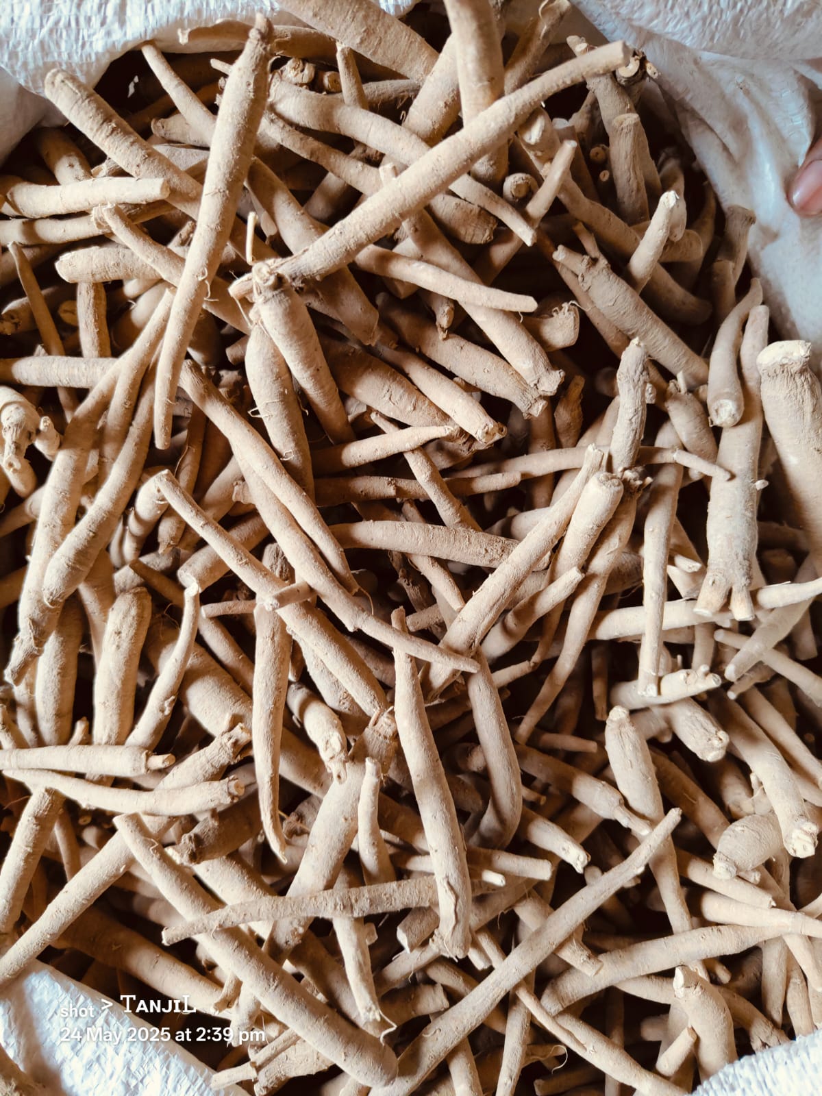 Natural Brown Ashwagandha