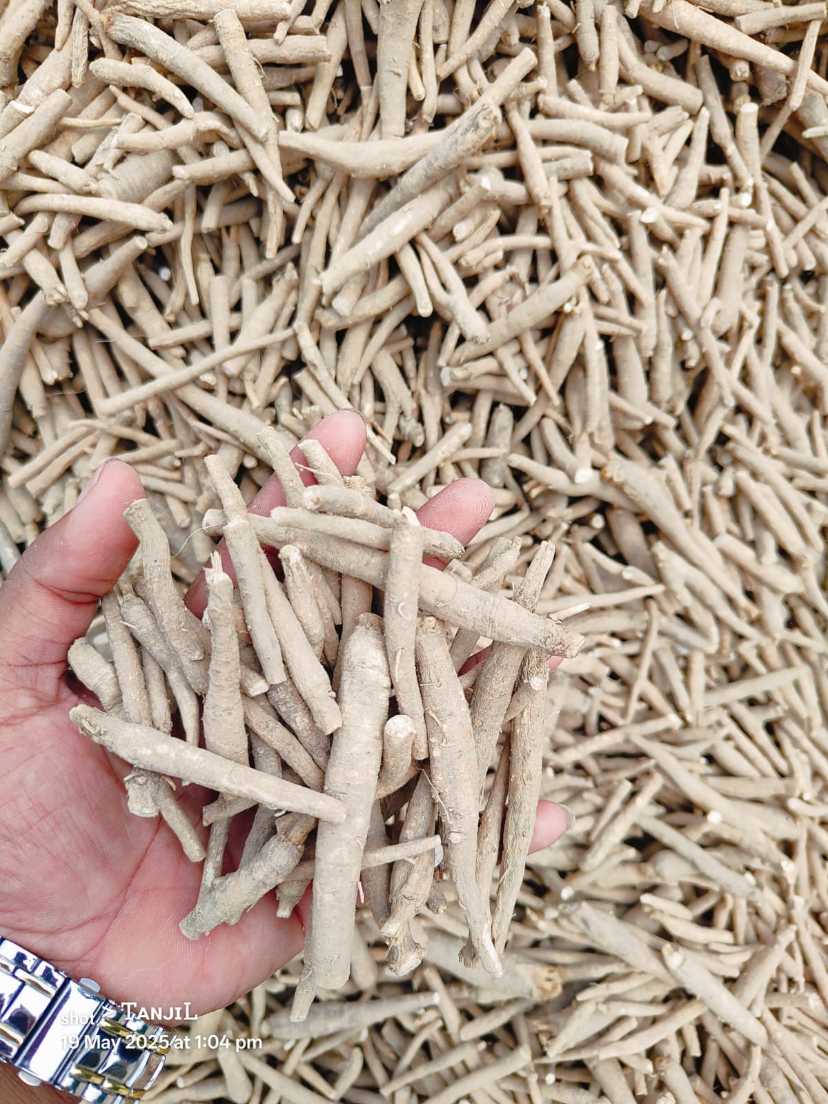 Export Grade Ashwagandha