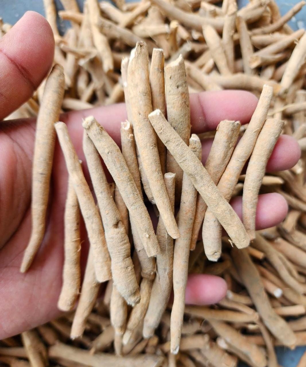 Ashwagandha Root