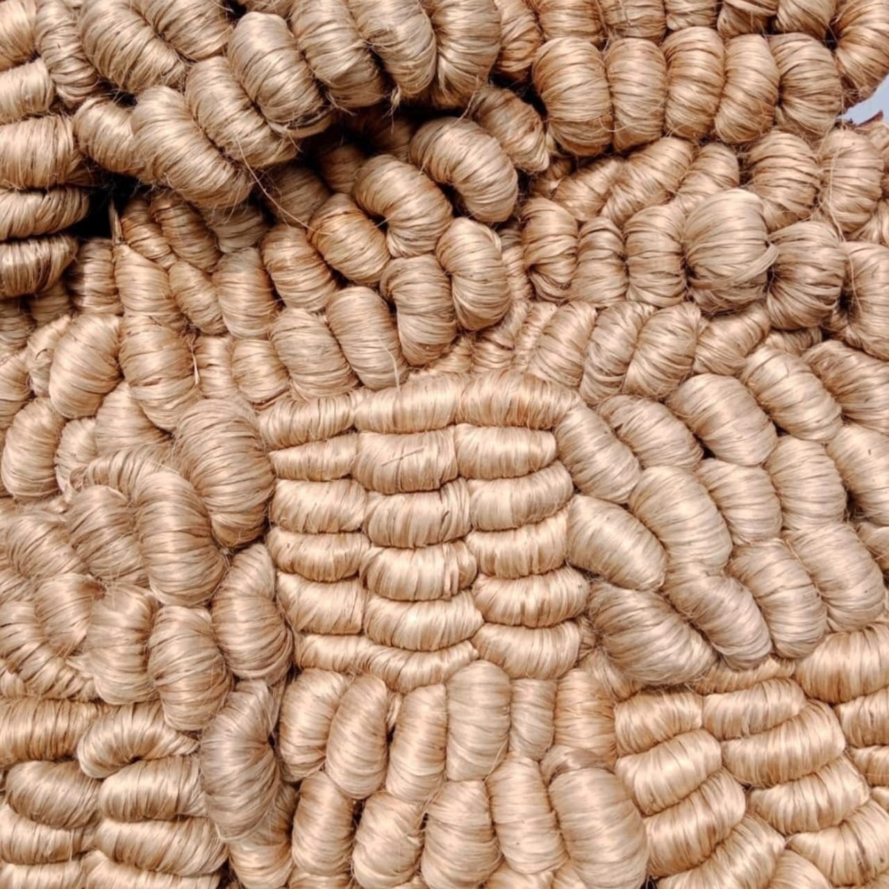 Raw Jute